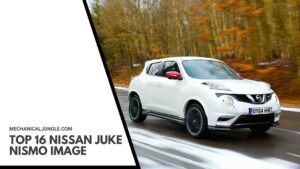 Top 16 Nissan Juke Nismo Image