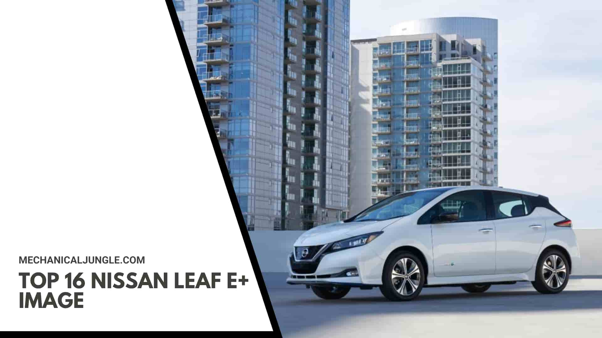 Top 16 Nissan Leaf e+ Image