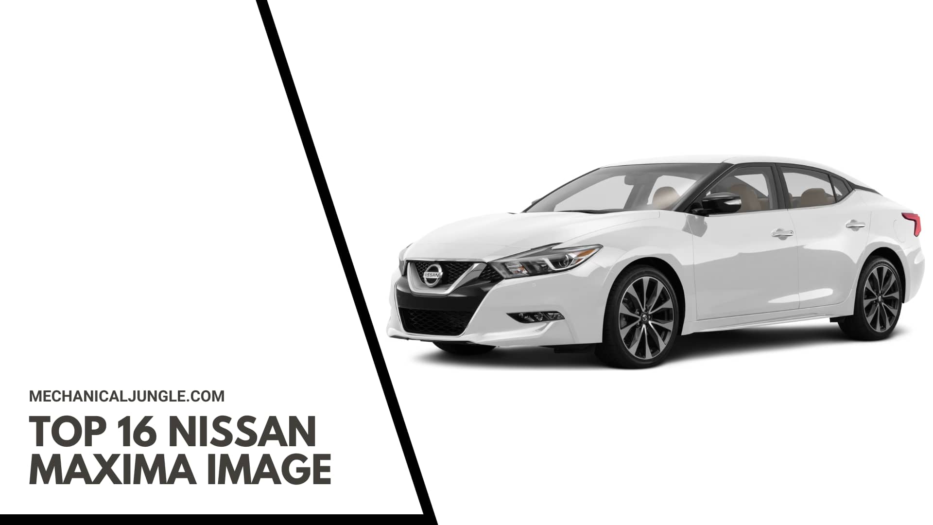 Top 16 Nissan Maxima Image