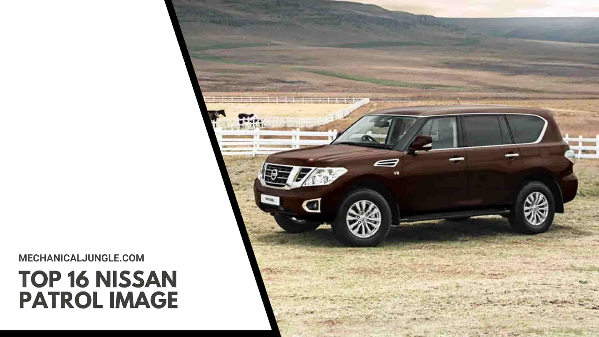 Top 16 Nissan Patrol Image