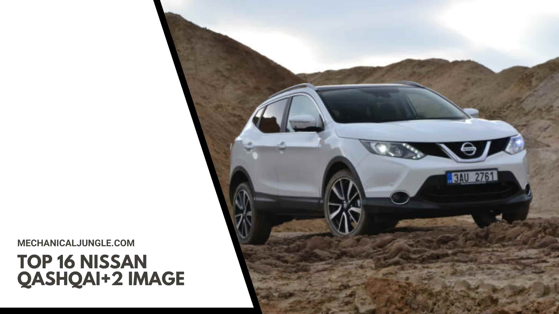 Top 16 Nissan Qashqai+2 Image