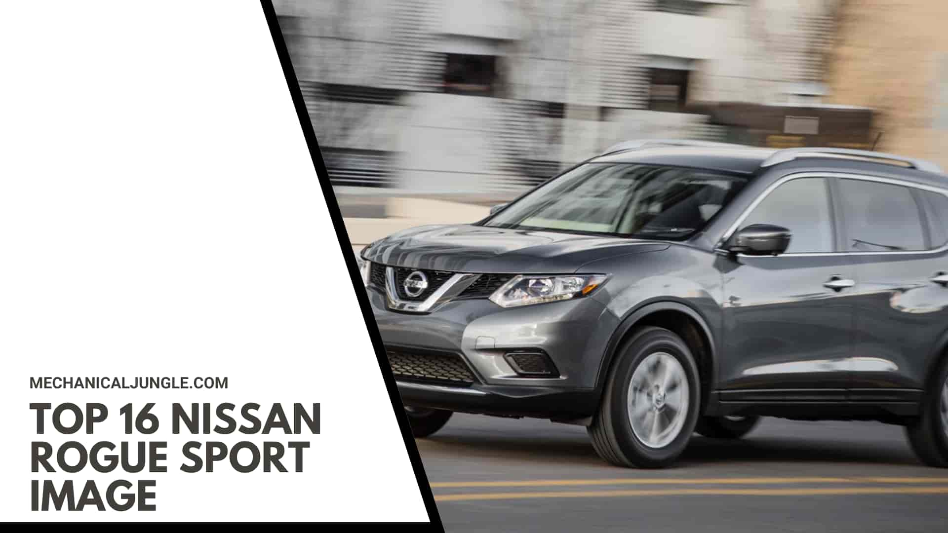 Top 16 Nissan Rogue Sport Image