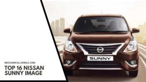 Top 16 Nissan Sunny Image