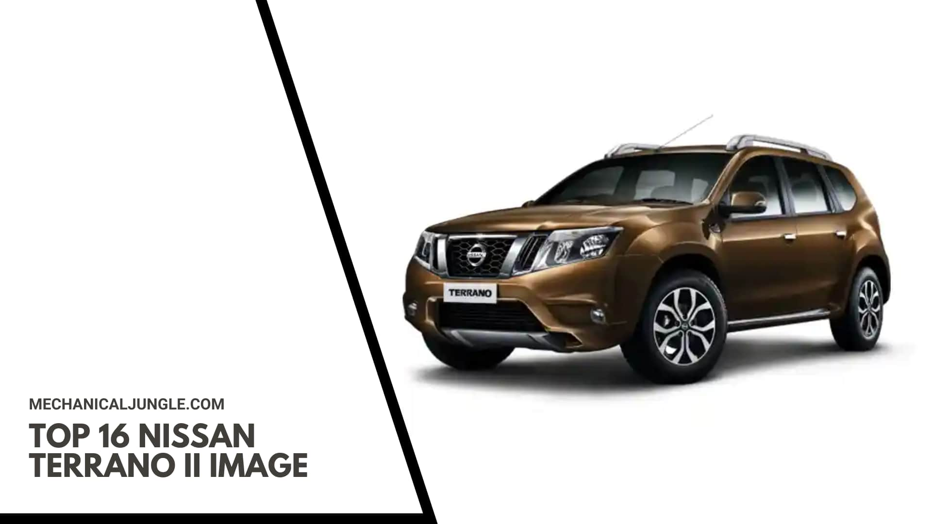 Top 16 Nissan Terrano II Image