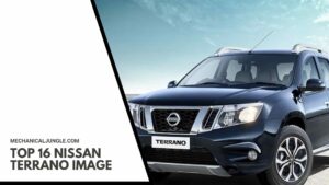 Top 16 Nissan Terrano Image