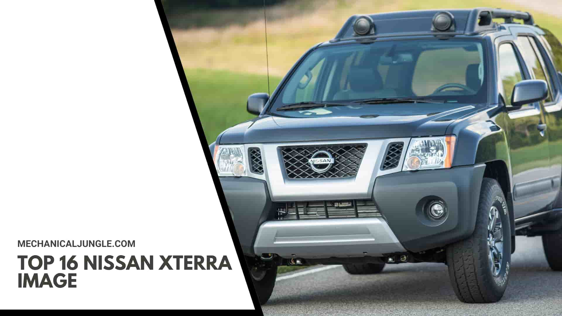 Top 16 Nissan Xterra Image