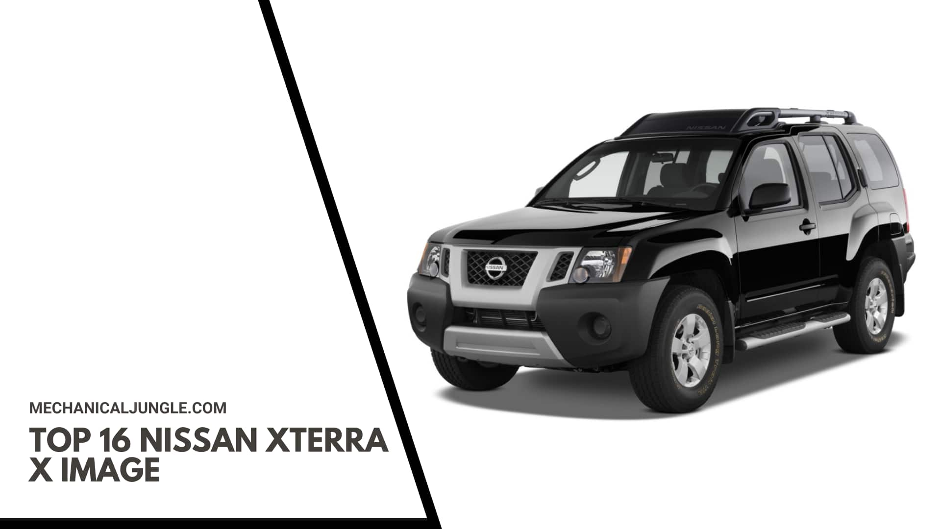 Top 16 Nissan Xterra X Image