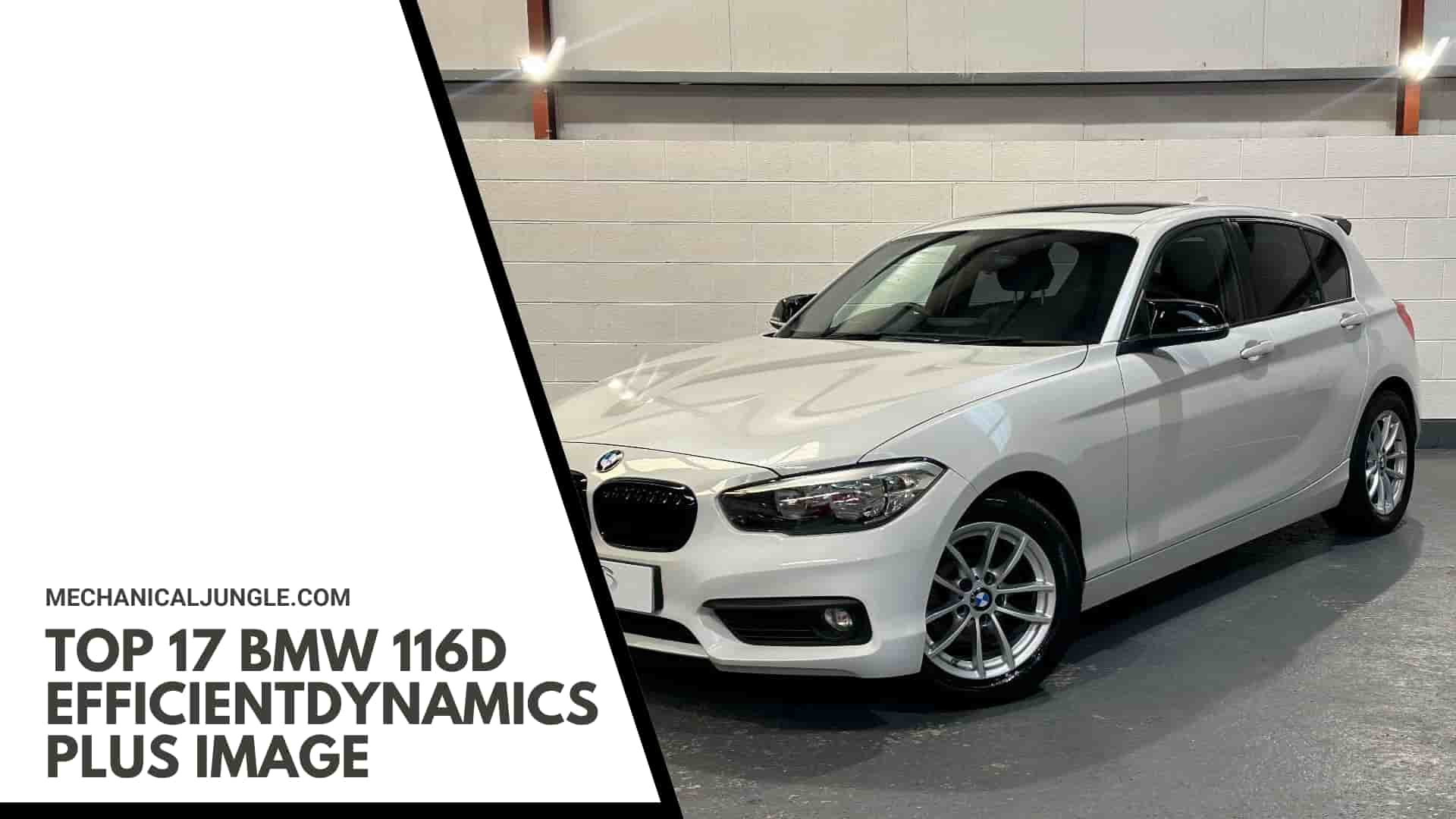 Top 41 BMW 116d M Sport Image