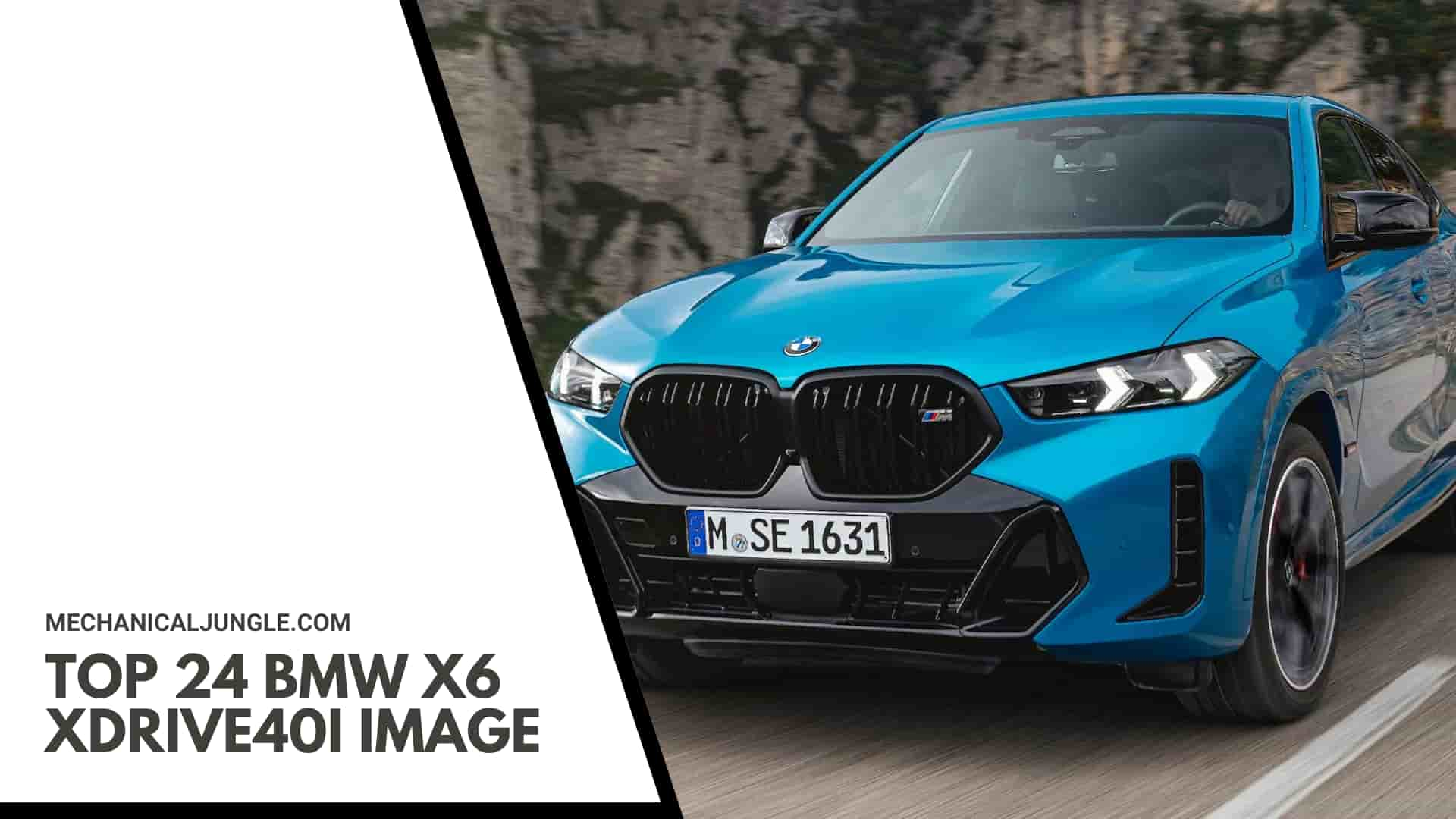 Top 24 BMW X6 xDrive40i Image