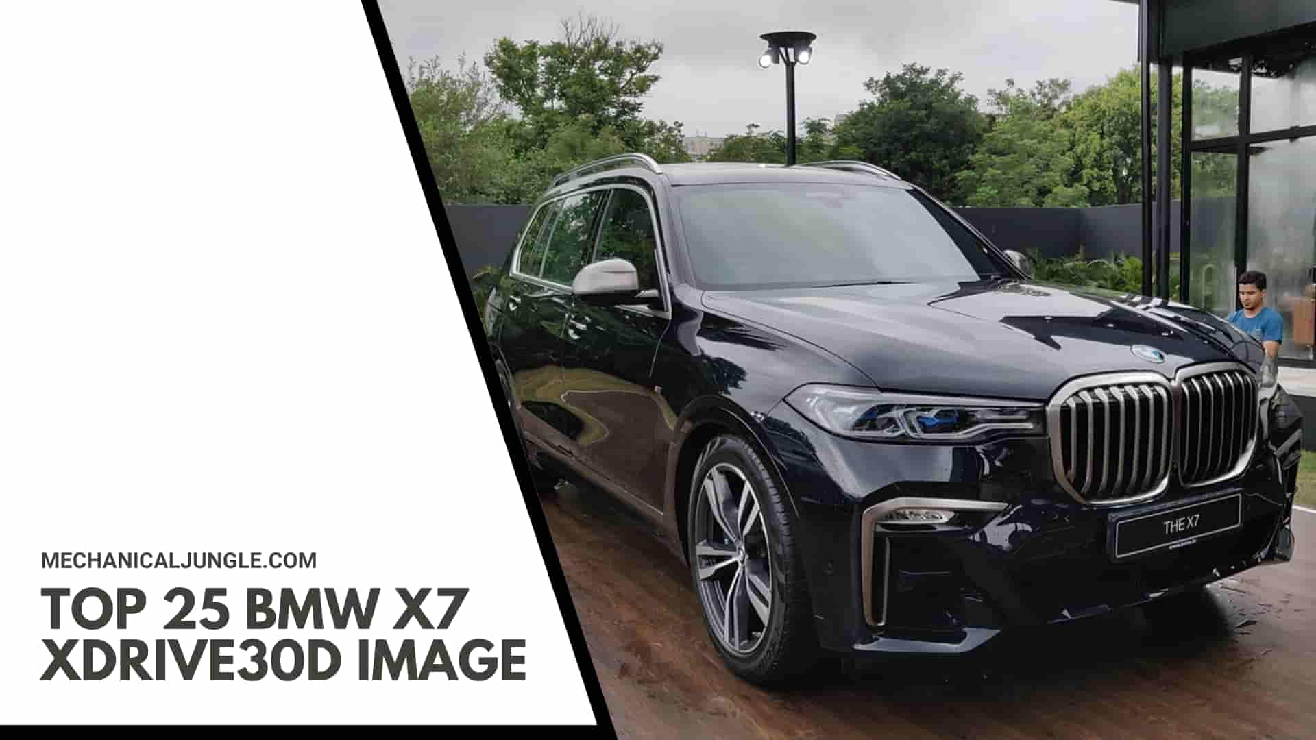 Top 25 BMW X7 xDrive30d Image