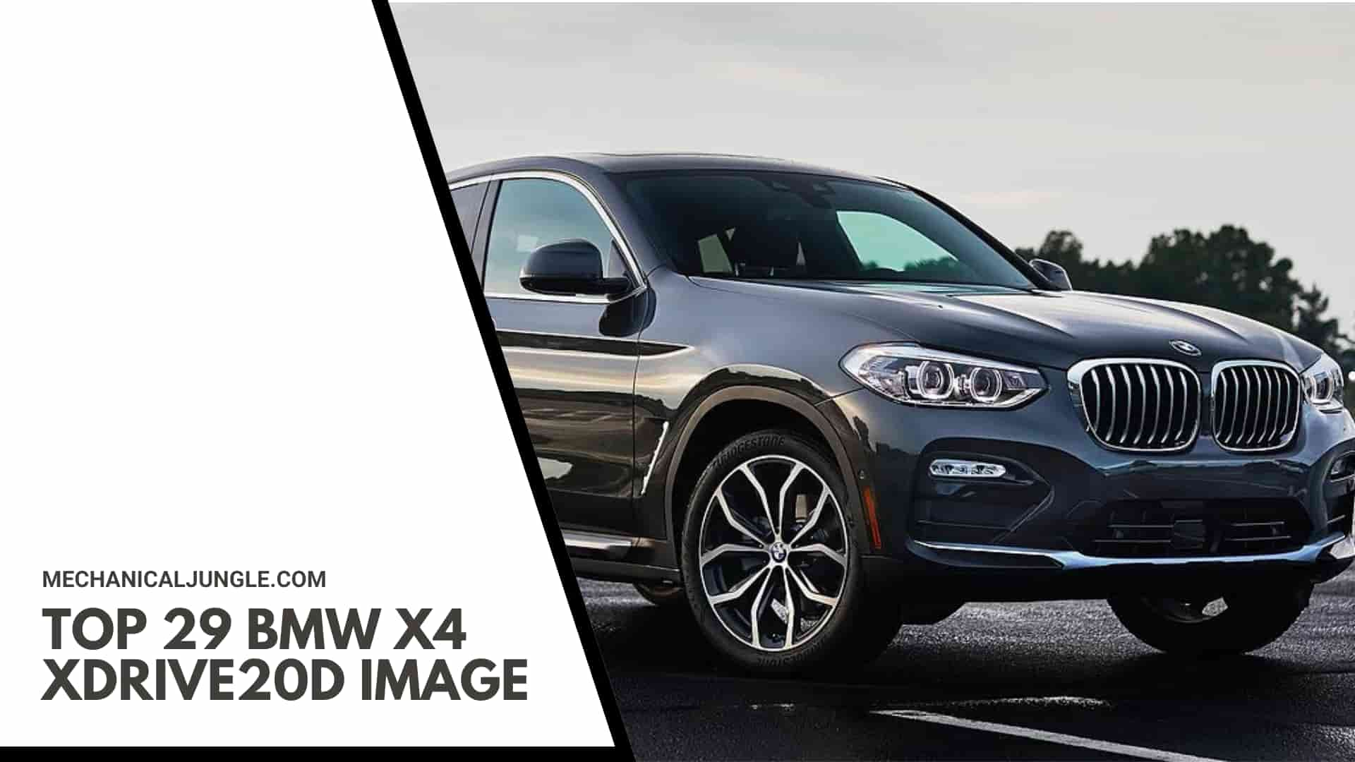 Top 29 BMW X4 xDrive20d Image