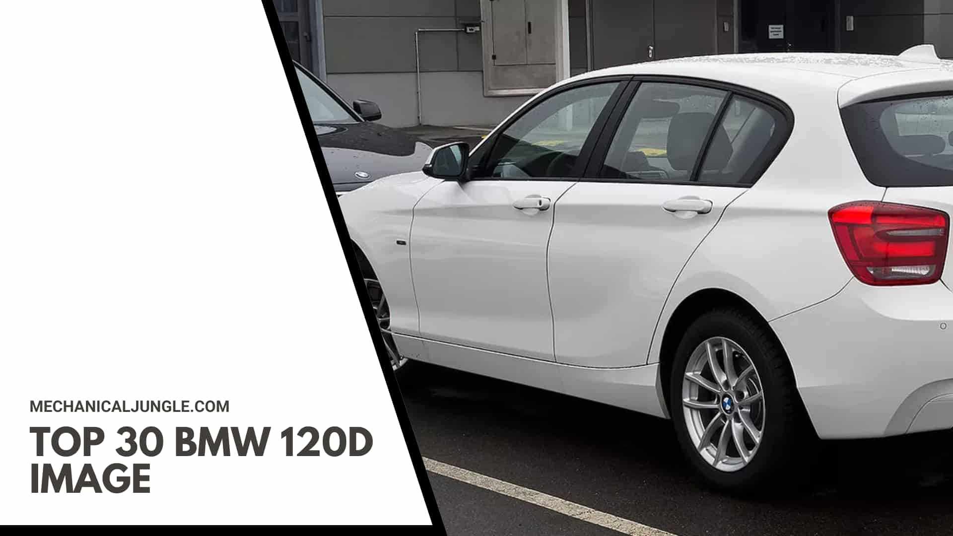 Top 30 BMW 120d Image