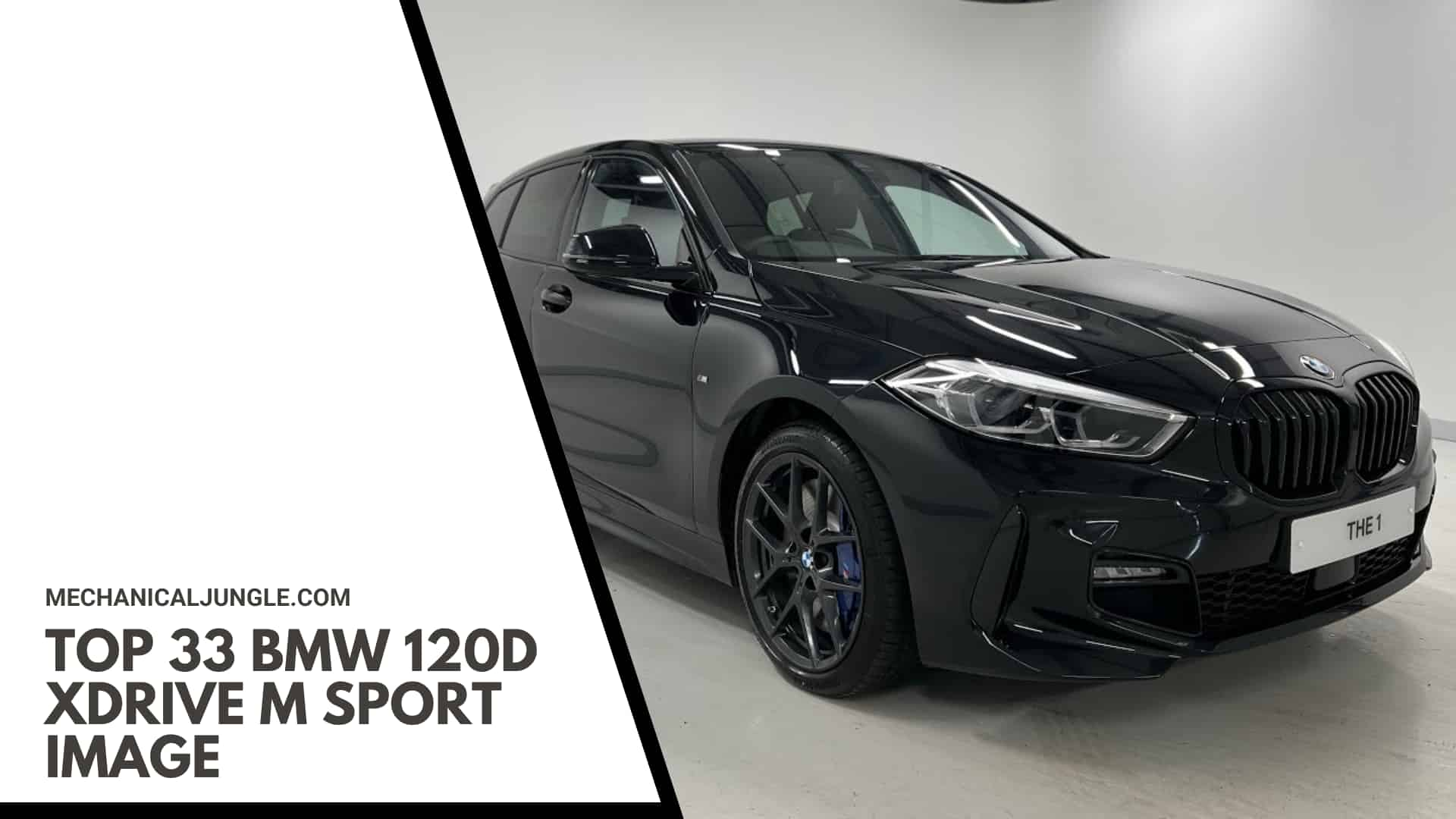 Top 33 BMW 120d xDrive M Sport Image