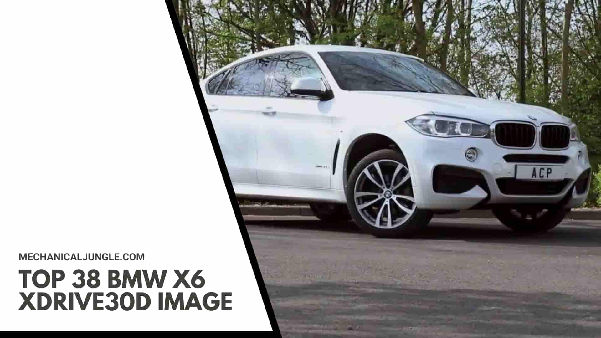 Top 38 BMW X6 xDrive30d Image