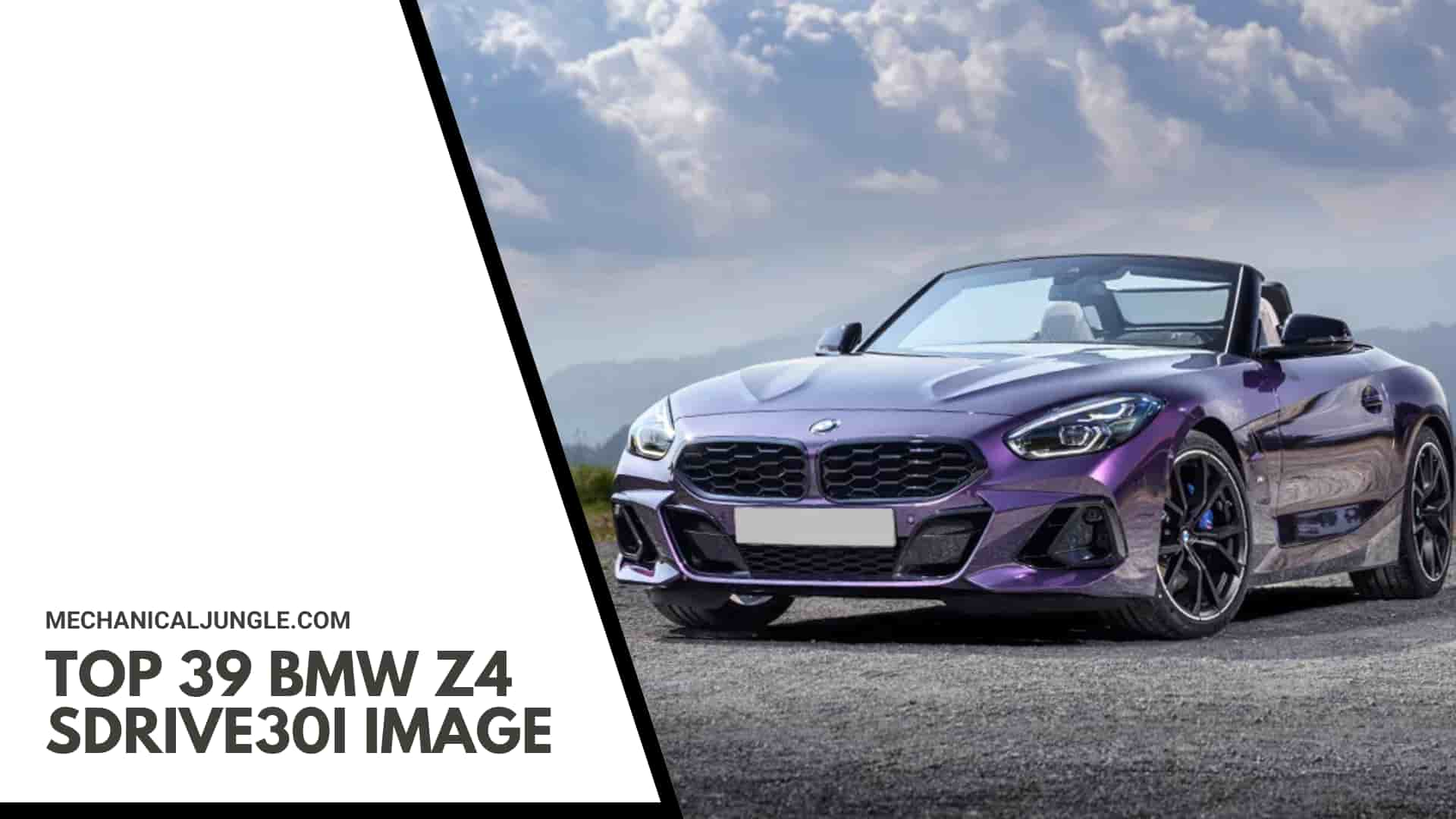 Top 39 BMW Z4 sDrive30i Image