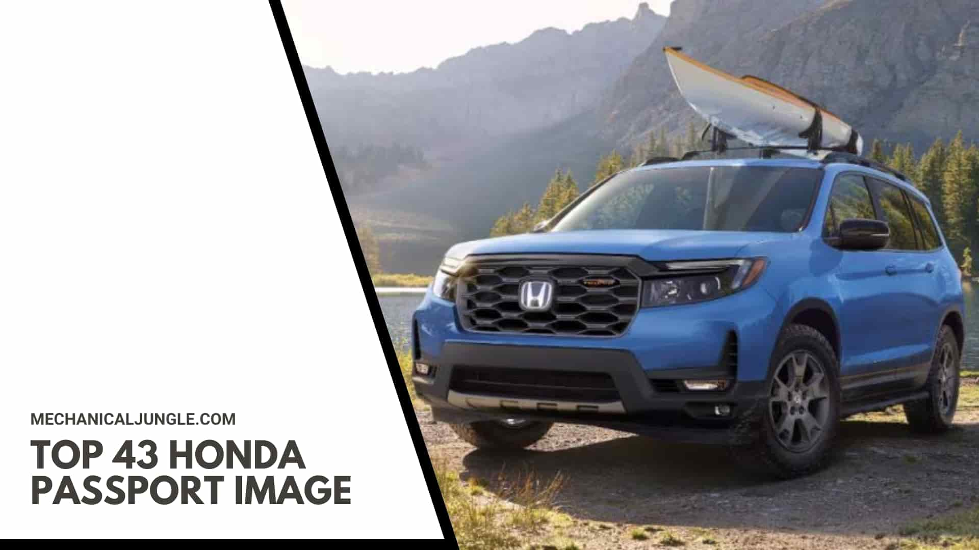 Top 43 Honda Passport Image