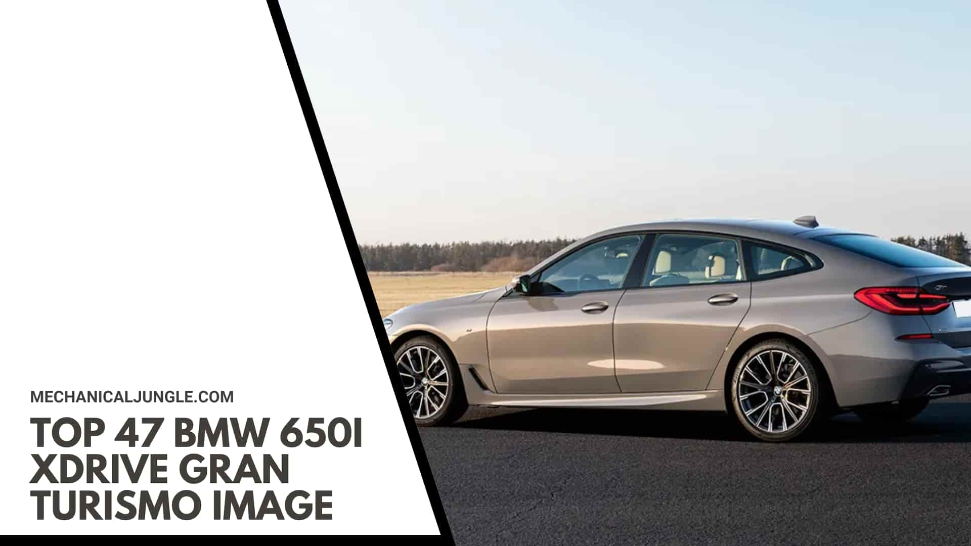 Top 47 BMW 650i xDrive Gran Turismo Image