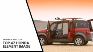 Top 47 Honda Element Image