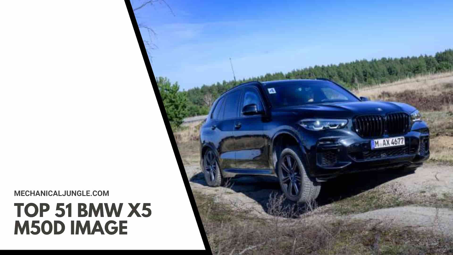 Top 51 BMW X5 M50d Image