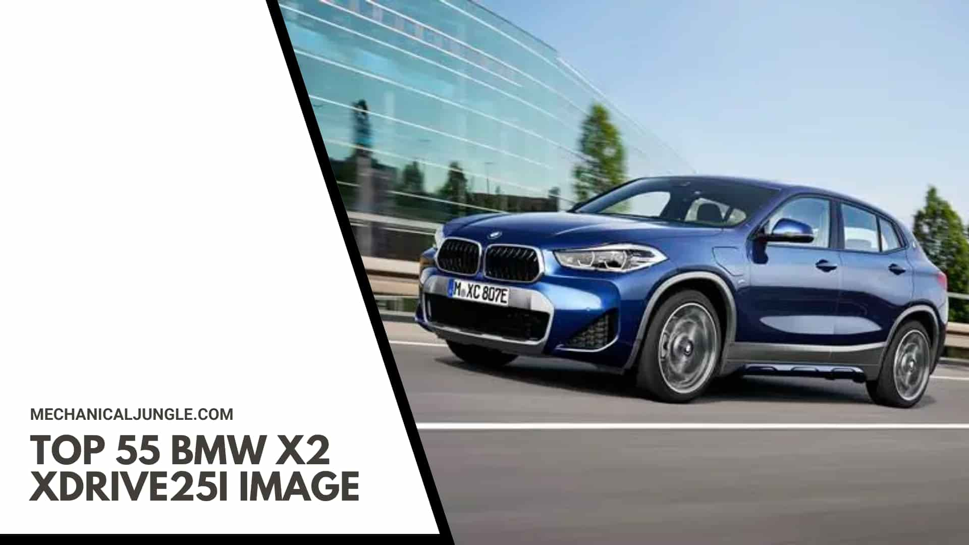 Top 55 BMW X2 xDrive25i Image