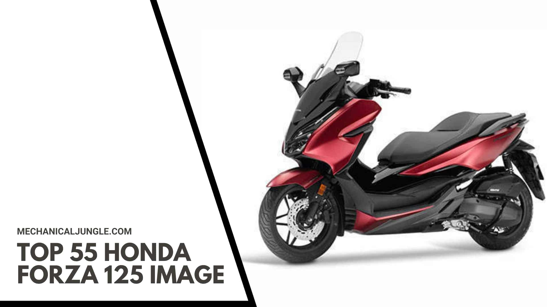 Top 55 Honda Forza 125 Image